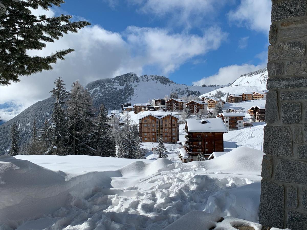 Schoenegg Hochparterre Riederalp Eksteriør billede
