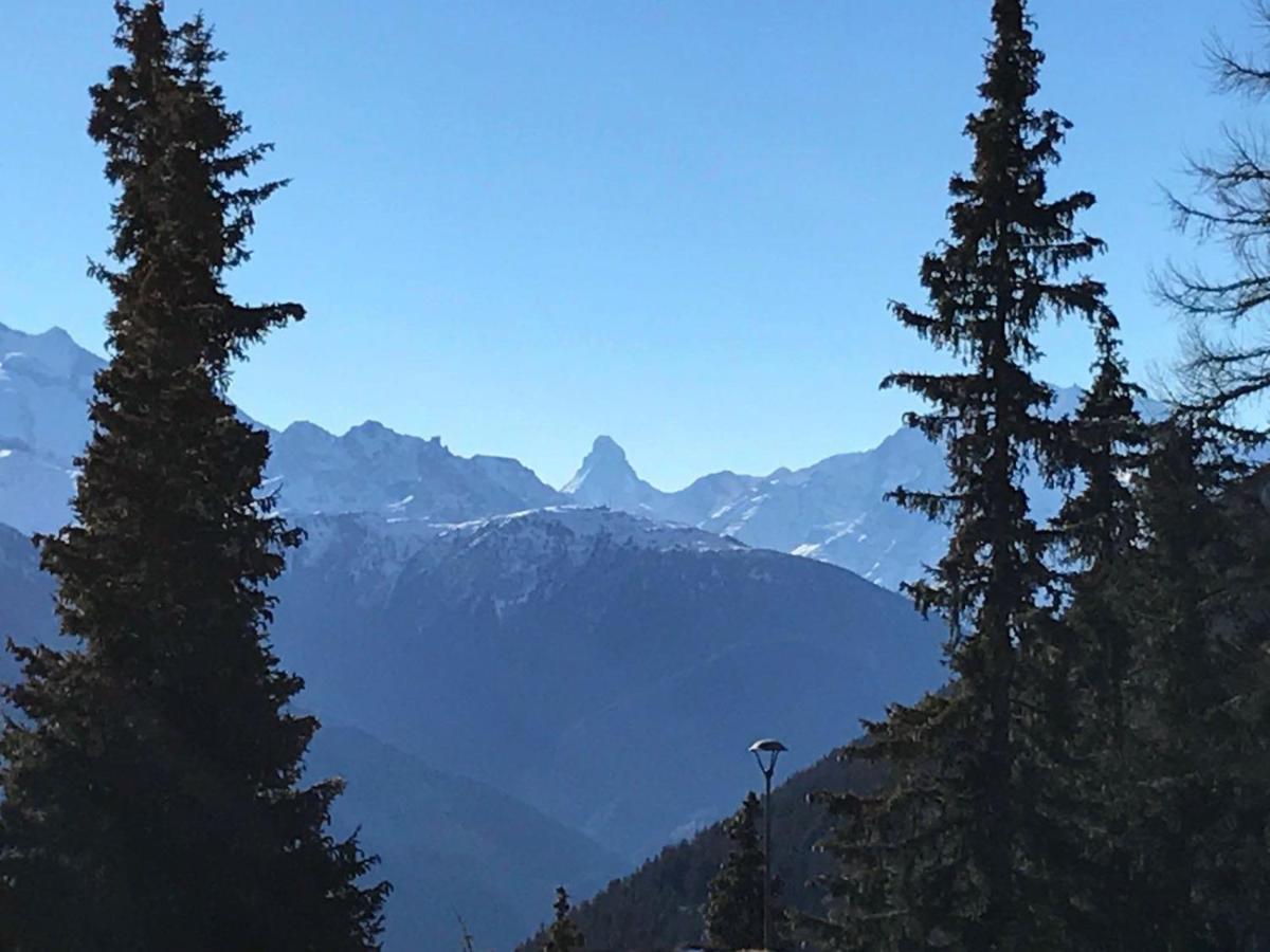 Schoenegg Hochparterre Riederalp Eksteriør billede