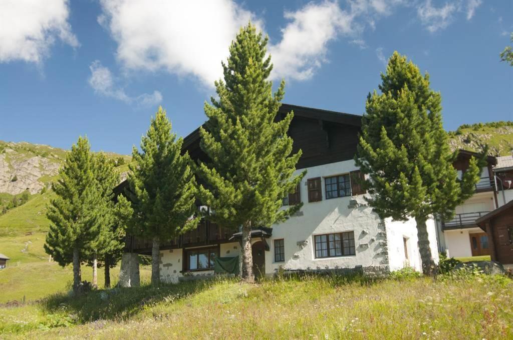 Schoenegg Hochparterre Riederalp Eksteriør billede